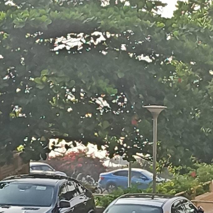 Cozy Private Ac Studio By The Sea Bandstand Bandra W Mumbai Nr Taj Lands End Appartamento Esterno foto