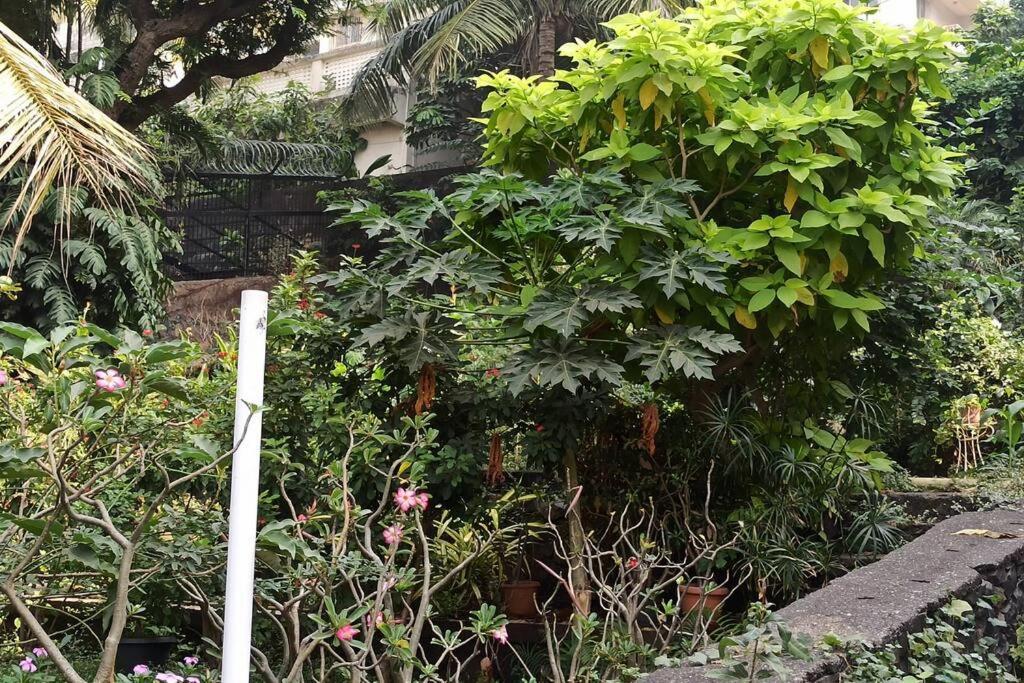 Cozy Private Ac Studio By The Sea Bandstand Bandra W Mumbai Nr Taj Lands End Appartamento Esterno foto